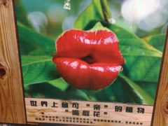-锦泉眼镜·视光体验中心(环市西路店)