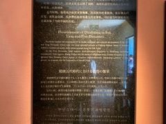-敦煌市博物馆