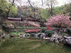 -杭州西湖风景名胜区-三生石