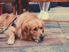 门面-飘香酒馆·私房菜