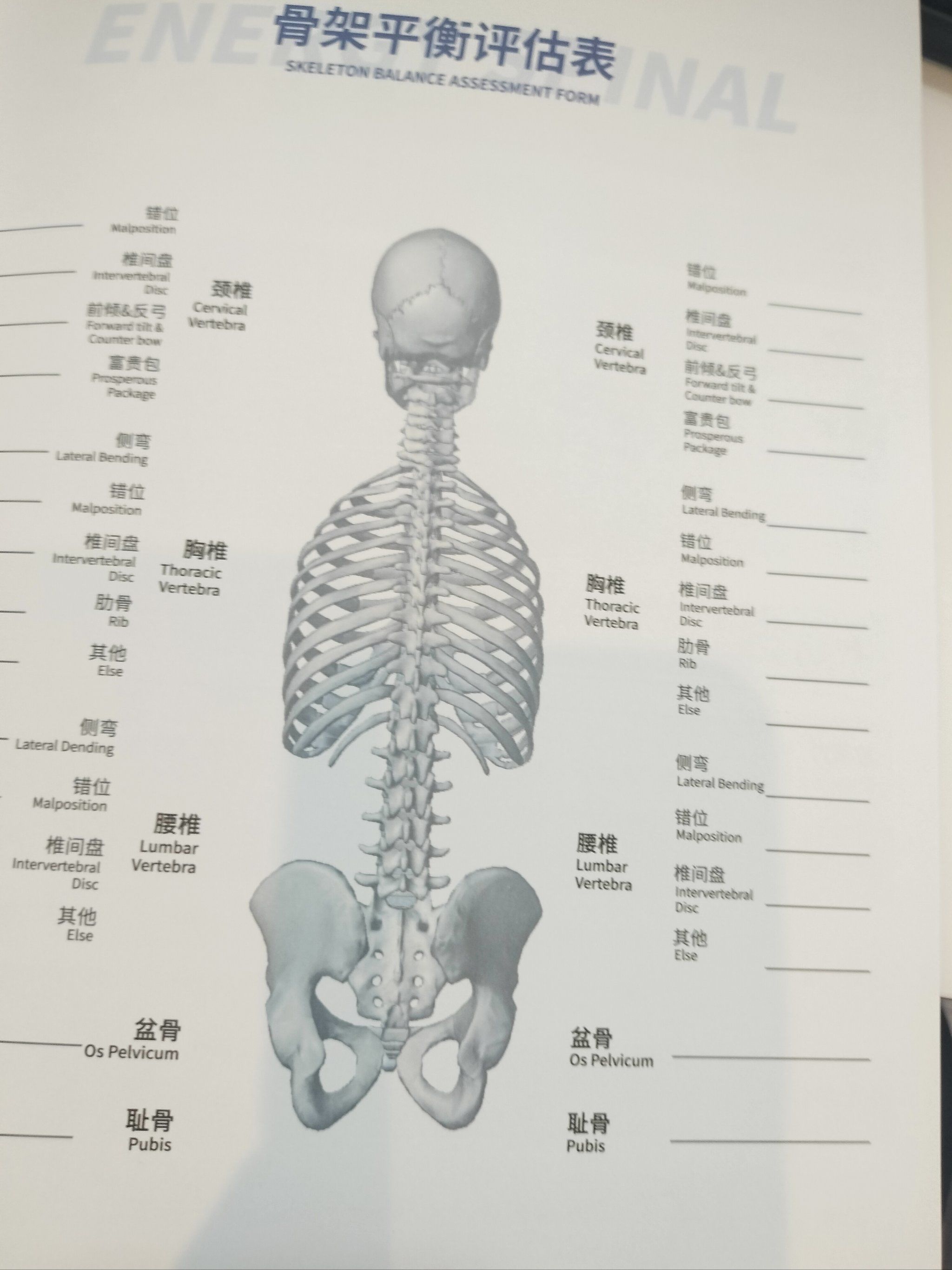 相信你一定会爱上这里的💖!