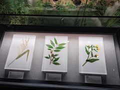 -四川大学博物馆