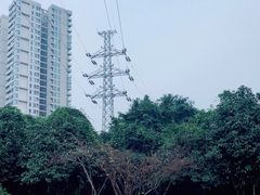 -重庆彩云湖湿地公园