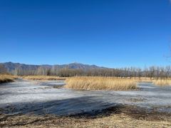 -野鸭湖国家湿地公园