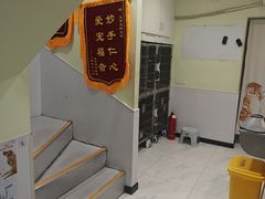 -艾吉宠物医院·疑难杂症转诊中心·猫友好(碧江路院)