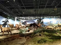 -武汉园博园(武汉自然博物馆)