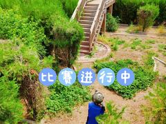 -亲兄弟真人CS团建拓展基地