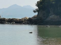 -碧桂园十里银滩