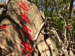 -天女山森林公园