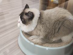-嘉亿台球俱乐部(观前店)