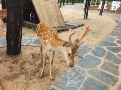 -南戴河国际娱乐中心