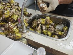 -养牛邓·潮汕牛肉海鲜自助火锅(广州店)