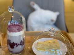 -猫腻·猫咖·撸猫馆(星光大道店)