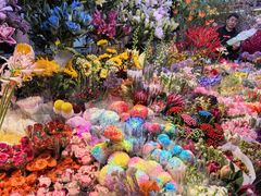 -花鸟鱼虫鲜花绿植市场(玉泉路店)