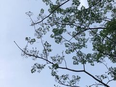 -鸡鸣山公园
