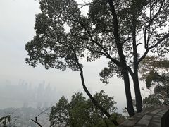 -南山植物园