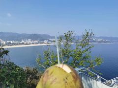 -新金盛·海鲜酒楼(盐田店)