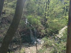 -天女山森林公园