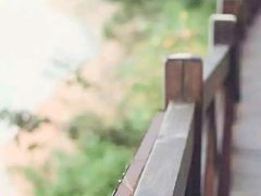 -广州市流溪河国家森林公园