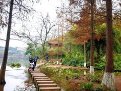 -重庆彩云湖湿地公园