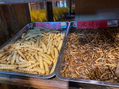 -昆虫窝子·特色云南菜(拓东路总店)