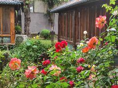 -大妙火锅·非物质文化遗产(东湖公园店)