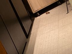 -Le Comptoir de la Gastronomie