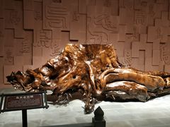 -乐山乌木文化博览苑