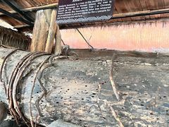 -海南槟榔谷黎苗文化旅游区