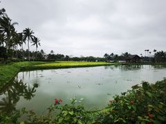 -蔡家宅