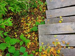 -白草畔自然风景区