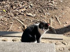 -上海佘山国家森林公园天马山园