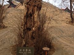-皇藏峪国家森林公园