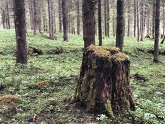 -硗碛藏寨·神木垒景区