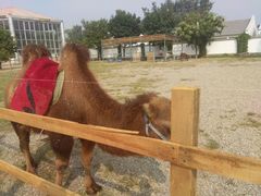 -红栌温泉山庄生态美食餐厅