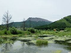 -洮儿河国家湿地公园