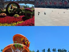 -大连森林动物园