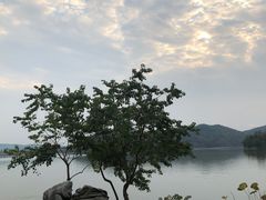 -东湖落雁景区