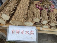 -红山村