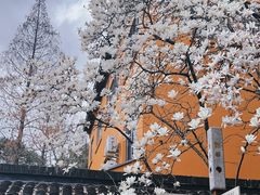-龙华寺