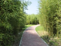 -嘉北郊野公园