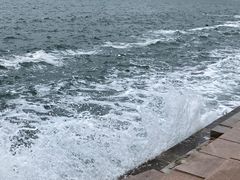 -悦海公园