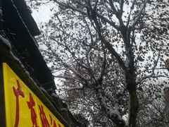 -广东涂记烧鹅饭(武汉天地店)
