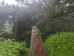 -庐山风景区花径公园