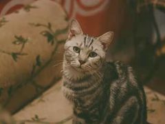 -万小咖.猫咖(中山路天虹店)