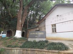 -马王堆汉墓遗址