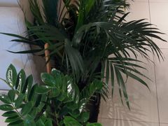 -泰合玺·精油疗愈 SPA(南京河西万达店)