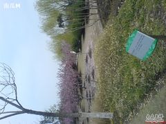 -白塘生态植物园