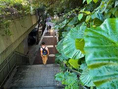 -人民公园(罗湖区)