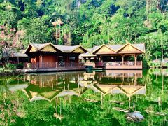 -西双版纳原始森林公园